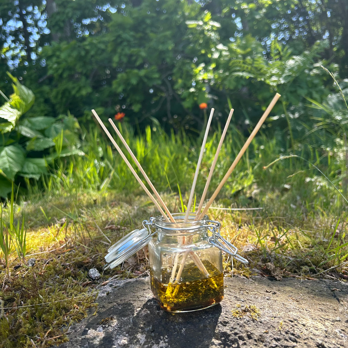 Vanilla Essence *Limited*